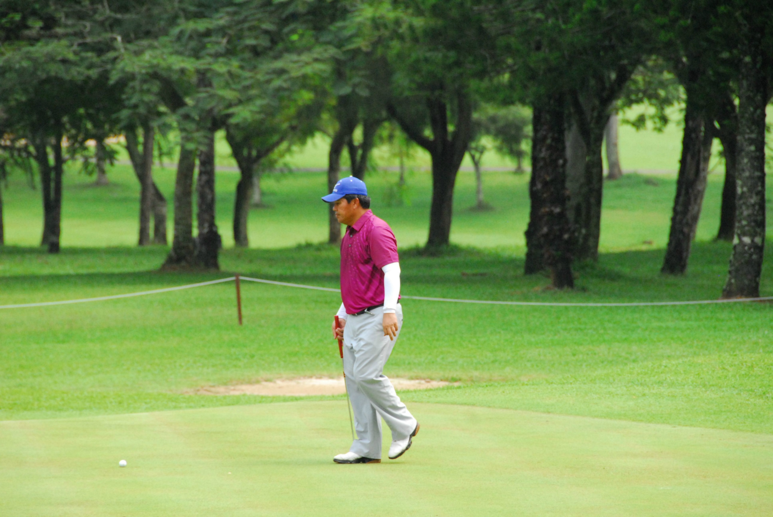 PRO15 157 GOLF DSC 0469.JPG